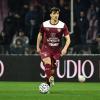 Salernitana, sirene di mercato dal Girone A: Arena nel mirino di Trento e Treviso
