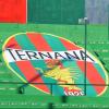 Spiraglio per la Ternana, i tesserati rinunciano agli stipendi. Sarà fissata una...