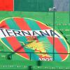 Movimenti in casa Ternana: primi contatti con un advisor. Possibile cordata per salvare...