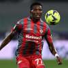 Penultimo allenamento per la Cremonese prima della Salernitana: le ultime su Okereke