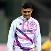 Distefano dalla Fiorentina all'Empoli, le cifre del trasferimento a titolo definitivo...