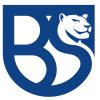 Strisce arancio-bleu e Leonessa sul cuore. L'Union Brescia ritorna alle origini