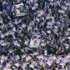 Fiorentina senza tifosi a Pisa, la Curva Fiesole: "Inaccettabili 49€ per un settore...