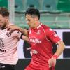 Da Palermo-Avellino a Carrarese-Spezia, i convocati per la 33ª giornata di Serie...