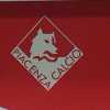 UFFICIALE: Piacenza, Polenghi è il nuovo presidente del club biancorosso