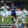 Immagine news 29