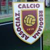 Reggiana shock: Vacondio e Tosi rinunciano con effetto immediato ai rispettivi incarichi...
