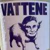 Fiorentina, contestazione contro Pradè: affissi adesivi offensivi fuori dal Franchi...