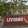 Livorno, il dg Mazzoni: "Stipendi pagati ieri. Ma questa società non piace e viene attaccata"
