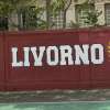 UFFICIALE: Livorno, colpo a centrocampo: dal Cosenza arriva Maresca in prestito