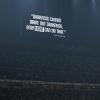 Immagine news 1
