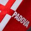 Padova, due manifestazioni d'interesse per il club. Per il 51% delle azioni servono almeno 2mln