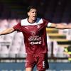 Salernitana, rush finale di campionato senza Capomaggio: lesione muscolare di medio...