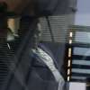 Immagine news 9