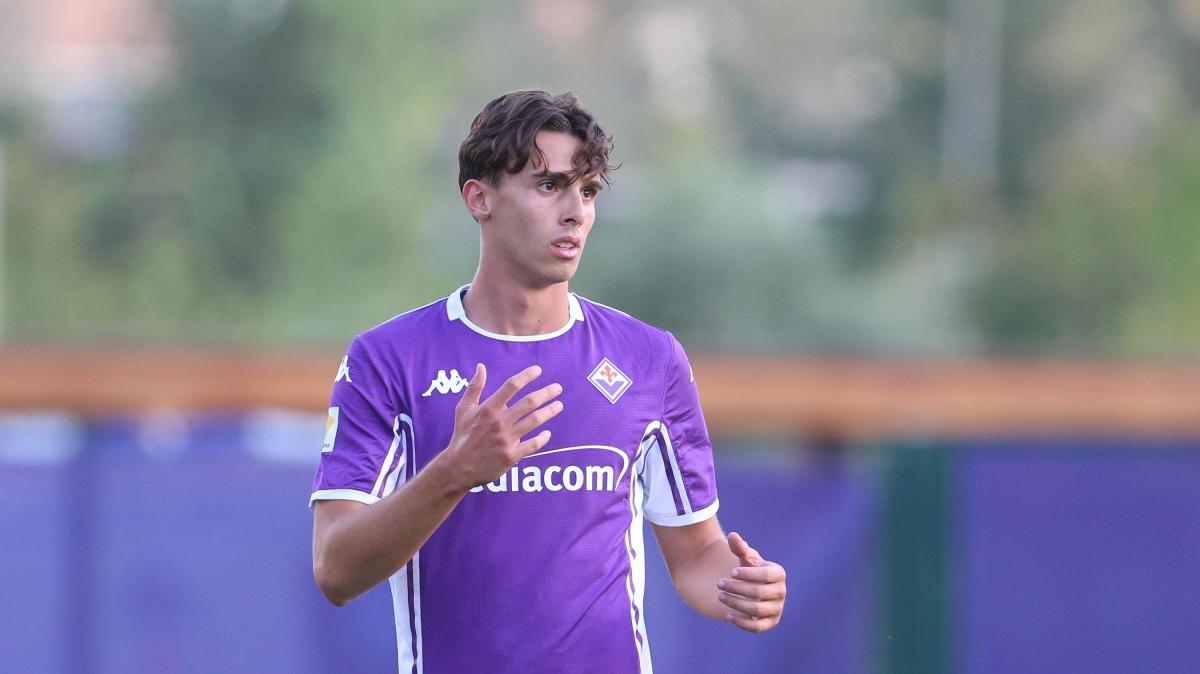 Modena in forte pressing con la Fiorentina per Braschi. Occhio anche al Catanzaro