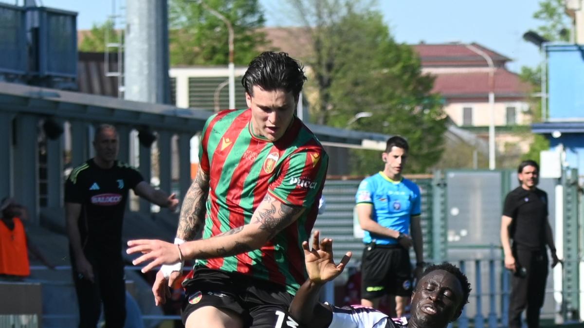 Quarto acquisto di giornata in casa Treviso: arriva il difensore Maestrelli