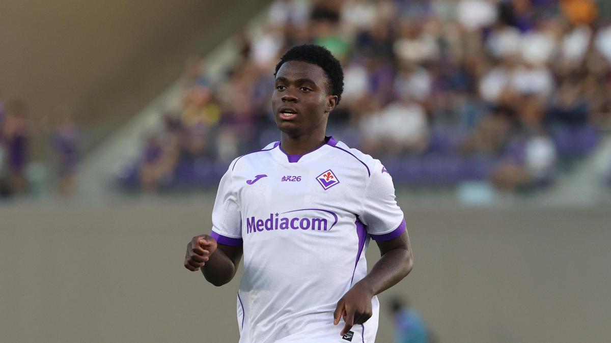 Fiorentina, le indicazioni di Grosso: "Oulai può giocare dal 1'. Gudmundsson sta bene"