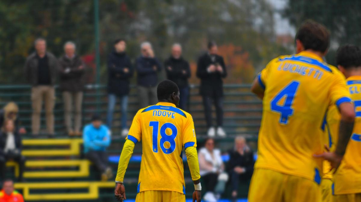 Frosinone, Ndoye piace a Folgore Caratese e Audace Cerignola