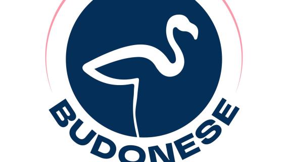'Un posto al sole'? No, alla Budonese. Quando anche la Seconda Categoria diventa virale
