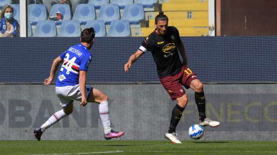 Le probabili formazioni di Salernitana-Fiorentina: torna Djuric, chance per Verdi?