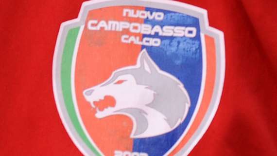 Ds Campobasso dopo l'esclusione dalla prossima Serie C: "Tre anni di lavoro buttati"