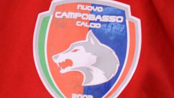 Campobasso, emerse cinque positività al Covid: lunedì nuovi tamponi al gruppo squadra