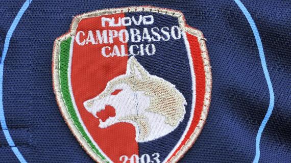 Campobasso, il ds Filipponi: "I gironi? Geograficamente dovremmo essere nel B"