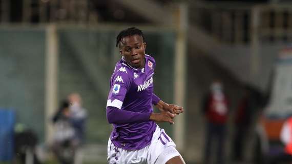 Fiorentina, Scamacca per l'attacco: Kouame può tornare in prestito al Genoa