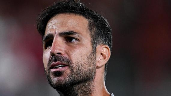 Immagine news primo piano TUTTO mercato WEB: notizie di calcio e calciomercato