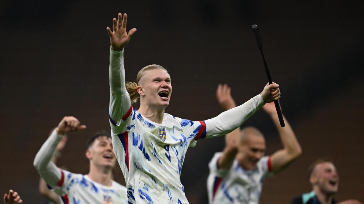 Immagine news primo piano TUTTO mercato WEB: notizie di calcio e calciomercato