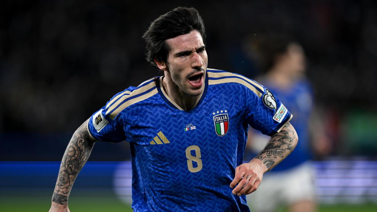 Tonali dal Newcastle al Tottenham per oltre 100 milioni di euro. Contratto da 10 l'anno