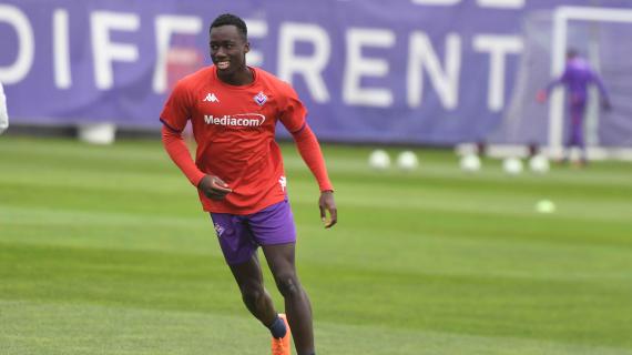 La Fiorentina può contare su Michael Kayode per il futuro