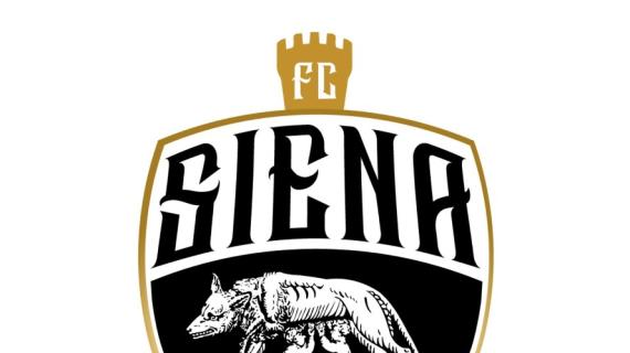 Dall'Eccellenza, i club che salgono in Serie D: ci sono Siena, Tuttocuoio e Teramo