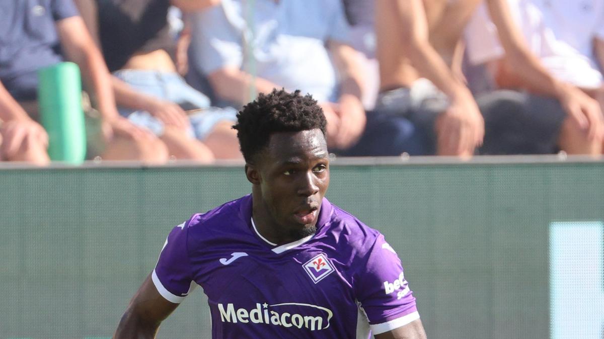 Fiorentina, Gnonto: "Vanoli ci dà tanta fiducia, la Coppa Italia è un nostro obiettivo"