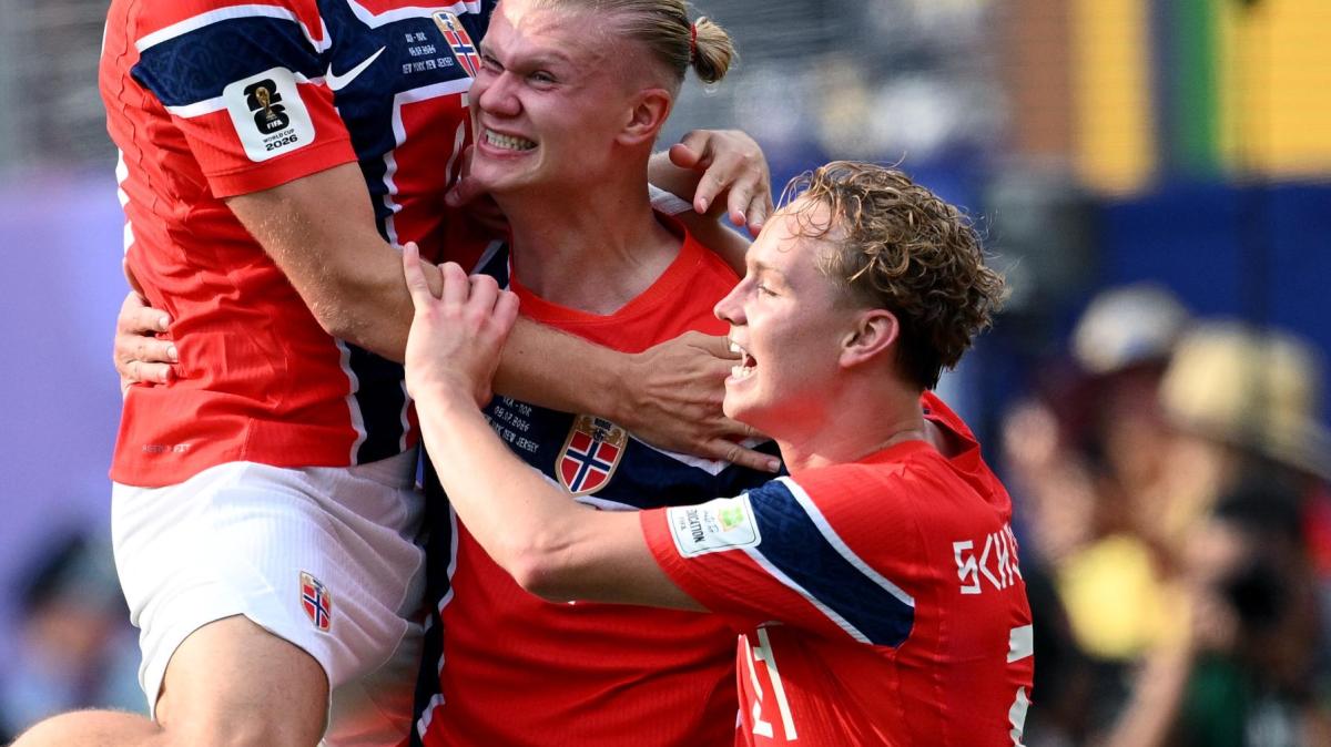 Schjelderup e gli assist per Haaland. A gennaio il Parma ha sognato il grande colpo