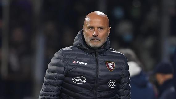 Salernitana, Colantuono sul derby col Napoli: "Venderemo cara la pelle nonostante l'emergenza"