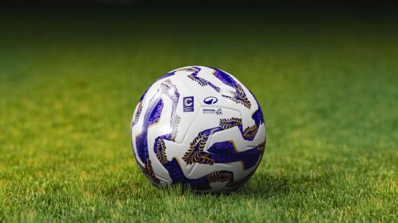 Serie C, Pineto corsaro in casa del Guidonia: vittoria per 2-0 nell'ultimo posticipo