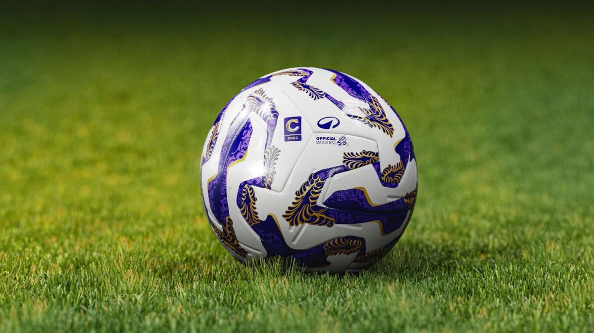 Serie C, 31ª giornata: i risultati dei match delle 14:30. Vincono Salernitana e Cosenza