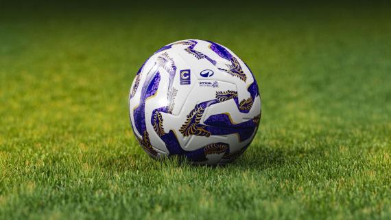 Immagine news primo piano canale salernitana