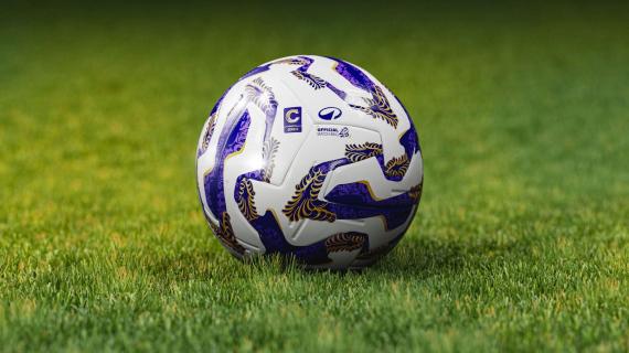 Serie C, 6ª giornata: Vicenza e Lecco continuano a correre. La gol collection del Girone A