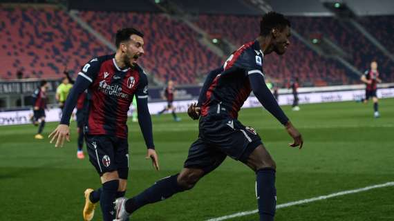 Il Bologna ritrova la vittoria con una gran prova di squadra: giocando così la salvezza si avvicina