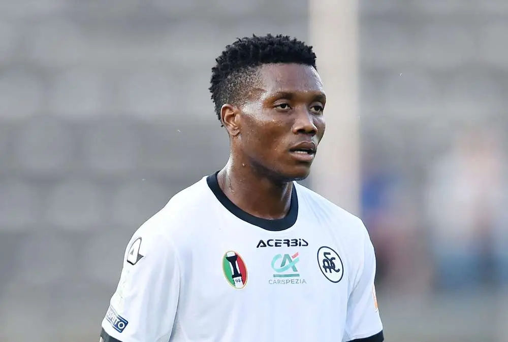 Le probabili formazioni di Venezia-Salernitana: Okereke-Henry la coppia d'attacco lagunare