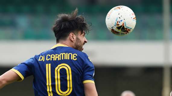 Hellas, Di Carmine: "Otto gol sono un buon bottino. A Genova per fare punti"