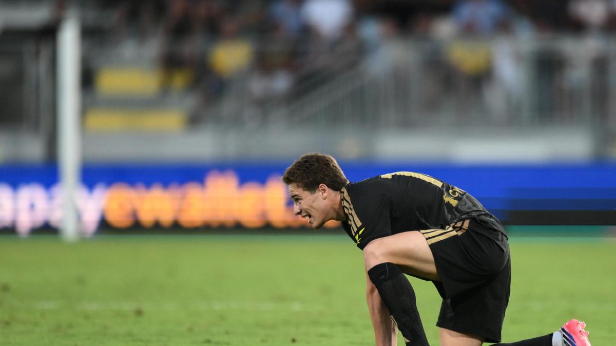 Juventus-Parma, i convocati di Spalletti: out Yildiz, Thuram, Zhegrova e McKennie