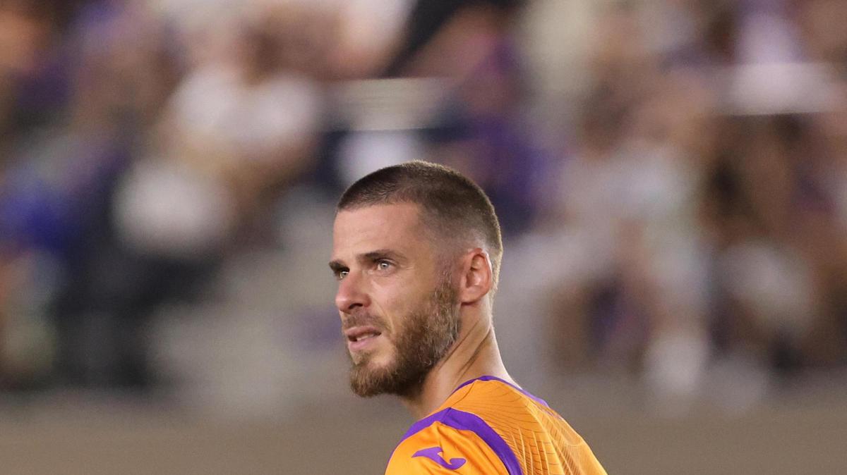 Fiorentina, De Gea e l'arrivo di Filippi: "Grazie a lui posso migliorare in tante cose"