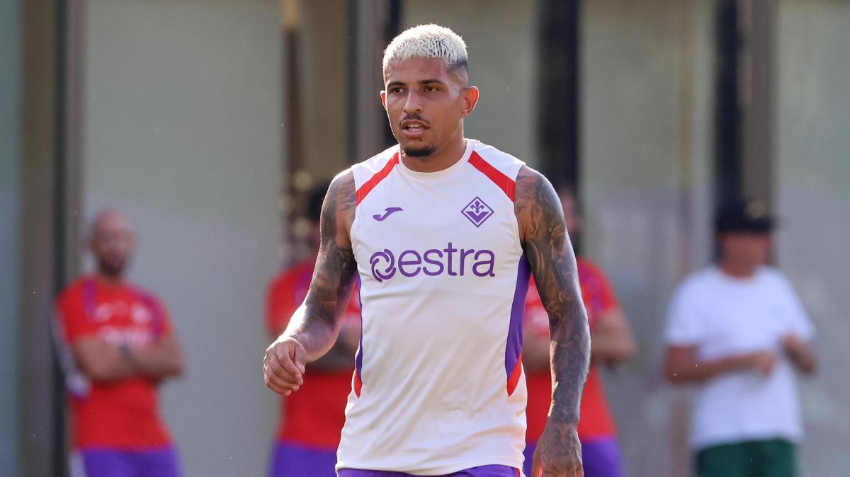 Dodo ai margini della Fiorentina. Lui si allena e scrive: "Non esiste formula magica"