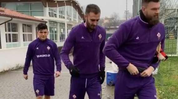 Fiorentina, Agudelo già in gruppo: può essere convocato per domani