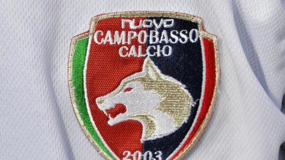 Campobasso, il ds Filipponi dopo la promozione in C: "Emozione vera, esperienza di vita"
