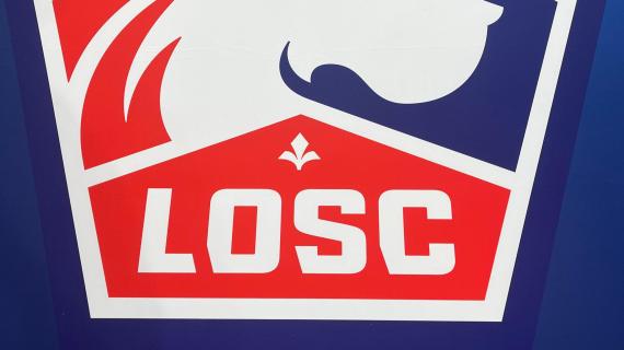 "Zhegrova può partire", ma per ora il Lille non ha ricevuto offerte (neanche dall'Italia)
