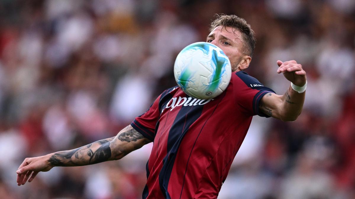 Immagine news primo piano TUTTO mercato WEB: notizie di calcio e calciomercato